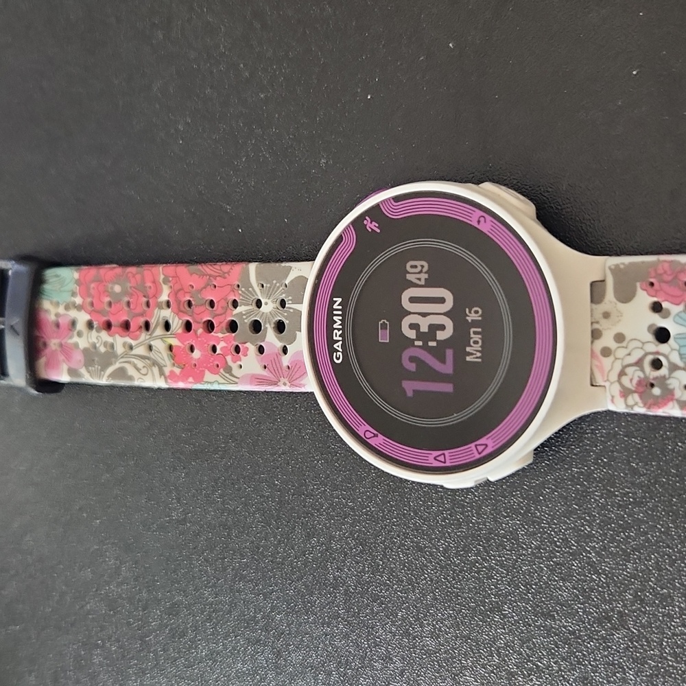 Garmin Foreruuner 220